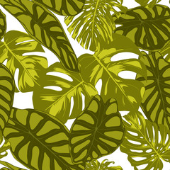 Tropical Leaves. Seamless Pattern with Hand Drawn Leaves of Monstera and Alocasia. Exotic Rapport for Textile, Fabric. Vector Seamless Background with Tropic Plants. Jungle Foliage. Watercolor Effect.