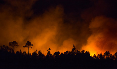 Big forest fire during night in Braga, Portugal.