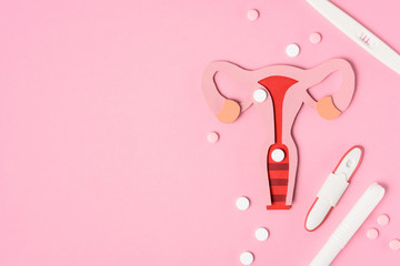 top view of female reproductive system, pills and various pregnancy tests on pink