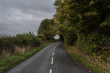 Road winding into the woods