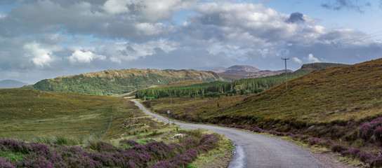 Fototapeta premium Schottland