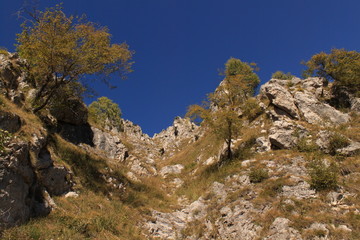Alpine Landschaft am Monte Grona (Luganer Alpen)