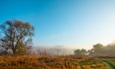 Fototapeta na wymiar autumn landscape with trees and blue sky and haze