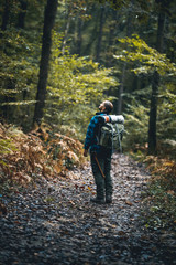 Naklejka premium stone road in the forest