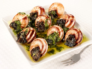 ESCARGOT / SNAILS