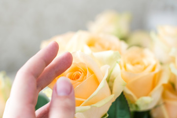 Fototapeta na wymiar Peach roses bouquet and hand