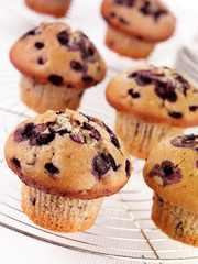 BLUEBERRY MUFFINS