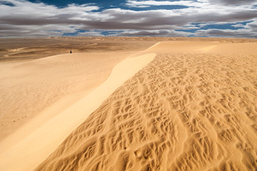 desert landscape
