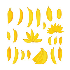 Delicious hand drawn food Yellow bananas set isolated on white background