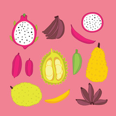 Exotic tropical Food fruits collection Jackfruit Banana Dragon fruit