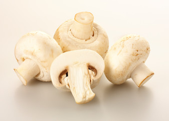 CLOSED CUP MUSHROOMS