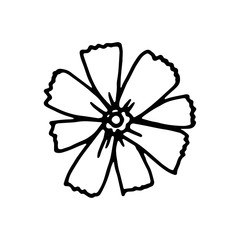 botanical flower garden element icon. hand drawing isolated object