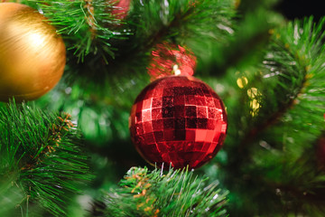 Fototapeta na wymiar Christmas tree background