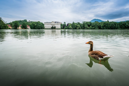 Schloss Leopoldskron Palace In Salzburg, Austria.