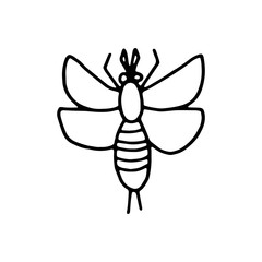butterfly moth insect icon drawing isolated object on white background