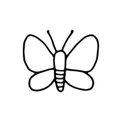 butterfly moth insect icon drawing isolated object on white background