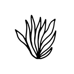 plant with leaves botanical icon. isolated