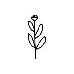 plant with leaves botanical icon. isolated