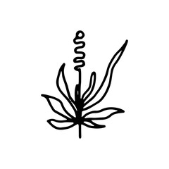 plant with leaves botanical icon. isolated