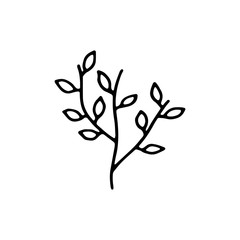plant with leaves botanical icon. isolated