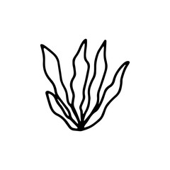 plant with leaves botanical icon. isolated