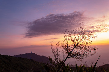 Fototapeta premium Trees on the mountain and the morning sun.