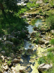 Naklejka premium Aude en été 2