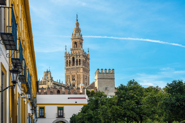 Obraz premium The Patio de Banderas in Seville, Spain.