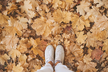 High anle view of female feet in the autumn leaves with copy space