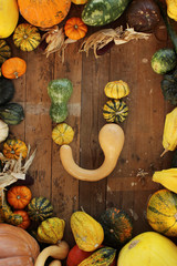 alphabet letter U pumpkin decoration harvest autumn halloween