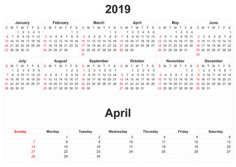2019 monthly calendar with white background.