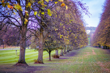 Fototapeta premium Beautiful Autumn afternoon