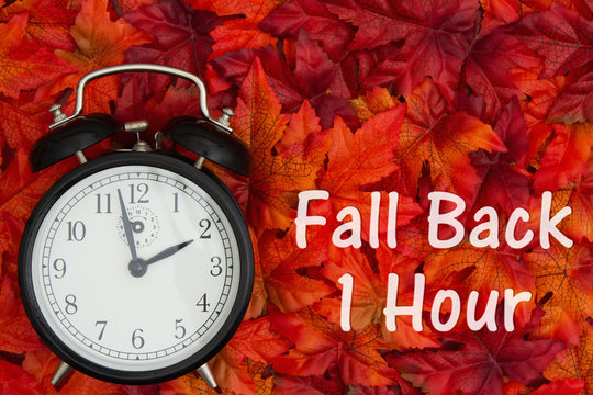 It is time to fall back message Daylight Savings