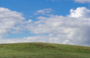 Fototapeta premium 夏の美瑛の丘 / 北海道美瑛町の観光イメージ