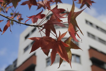 Otoño