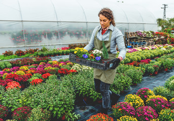 Preparing flowers for sale