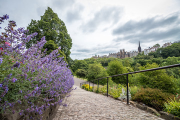 rampa junto a flores de lavanda en edimburgo