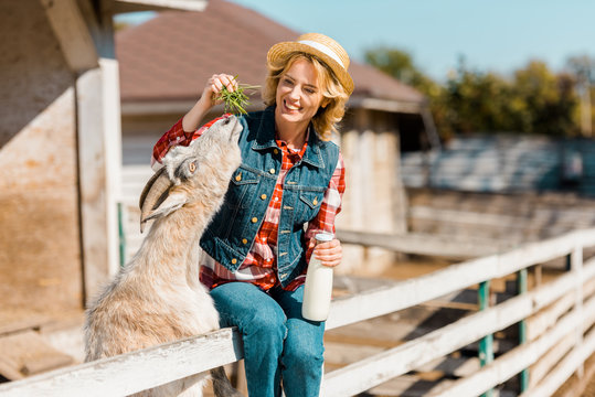selective focus of female farmer with milk bottle sitting on wooden fence and feeding goat at ranch
