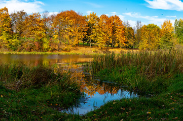 Green meadow river with autumn foliage reflections