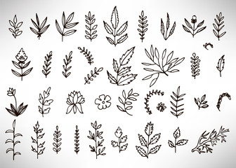 Fototapeta na wymiar Floral Set of black hand drawn grunge floral elements, tree branch, bush, plant, leaves, flowers, branches petals isolated on white. Collection of flourish elements for design. Vector illustration.
