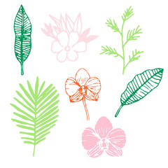Set of cute hand drawn floral elements with tropical branches, Orchid flower, palm leaves isolated on white background. Vector illustration.