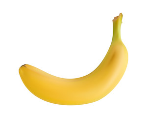 realistic vector banana