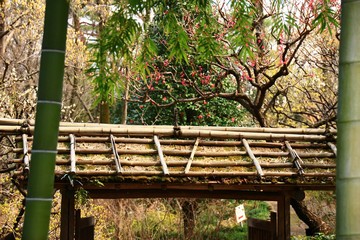 Naklejka premium 日本の和庭園と竹