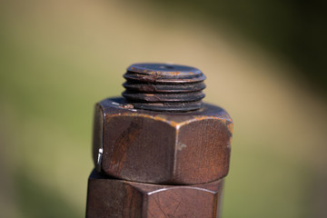 rusty screw in closeup, green background