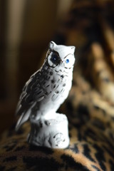 owl