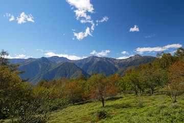 紅葉の夜叉神峠からの白根三山