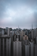 Naklejka premium vertical cityscape in an overcast day