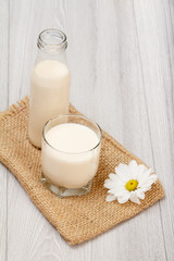 Bottle and glass of milk, daisy flower on gray wooden background