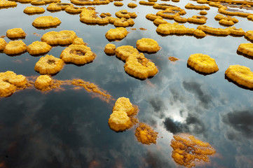 Vulcano Dallol Etiopia