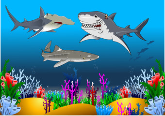 Obraz na płótnie Canvas shark collection